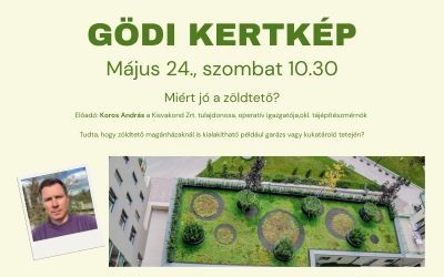 Gödi kertkép