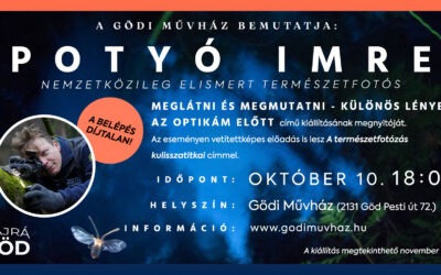 Potyó Imre kiállítása 11.07-ig